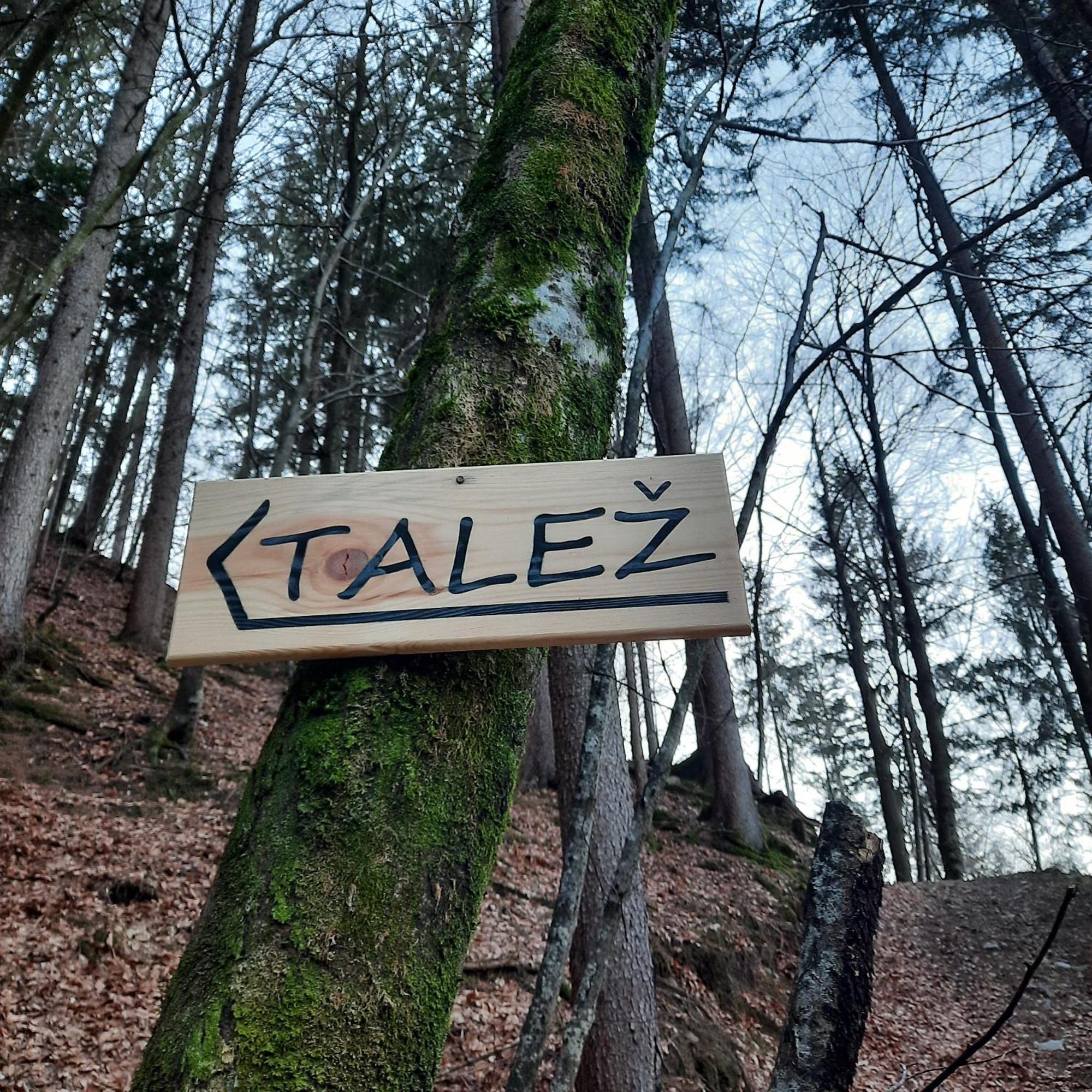Koca V Gozdu, Forest House Near Блед Екстериор снимка