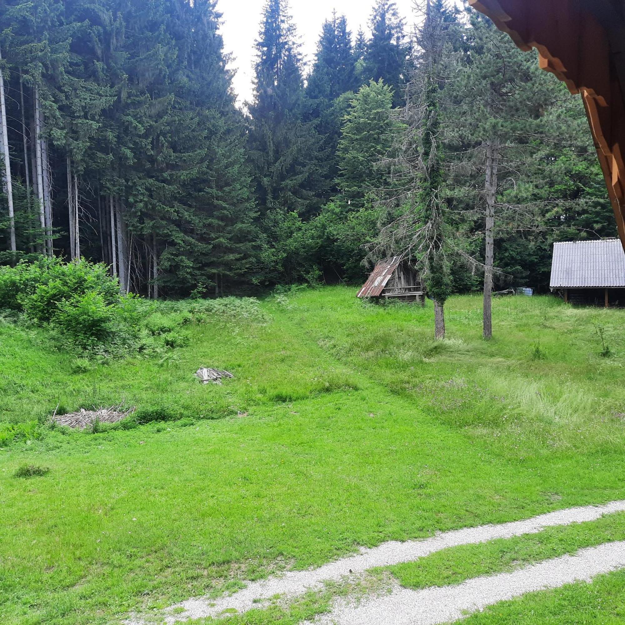 Koca V Gozdu, Forest House Near Блед Екстериор снимка