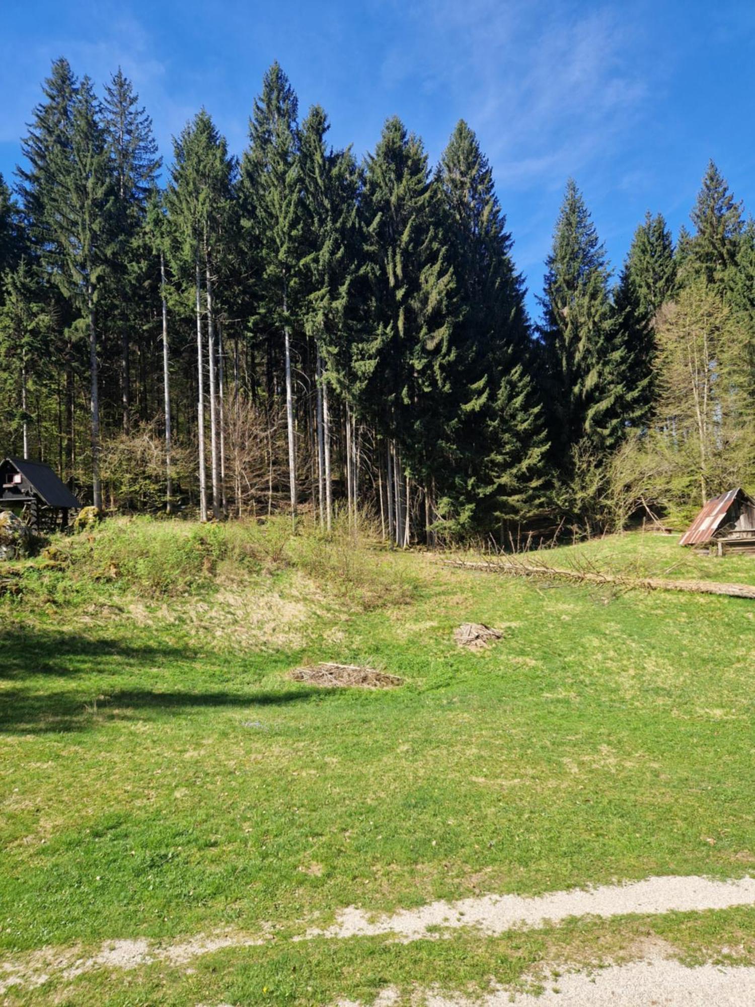 Koca V Gozdu, Forest House Near Блед Екстериор снимка