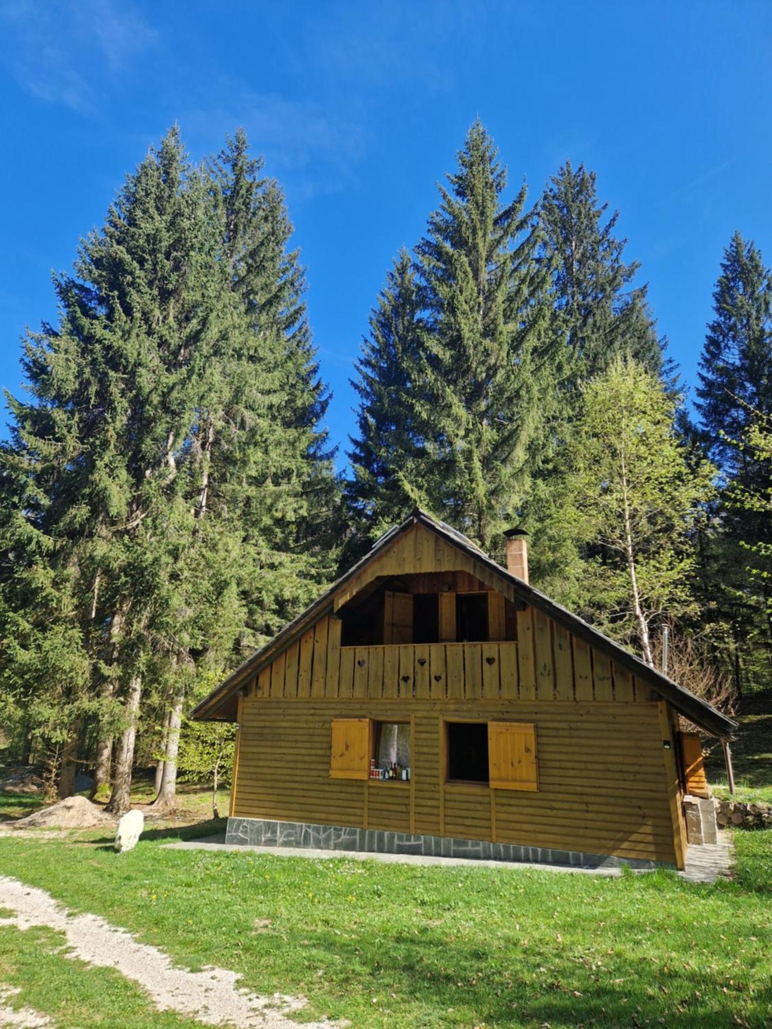 Koca V Gozdu, Forest House Near Блед Екстериор снимка