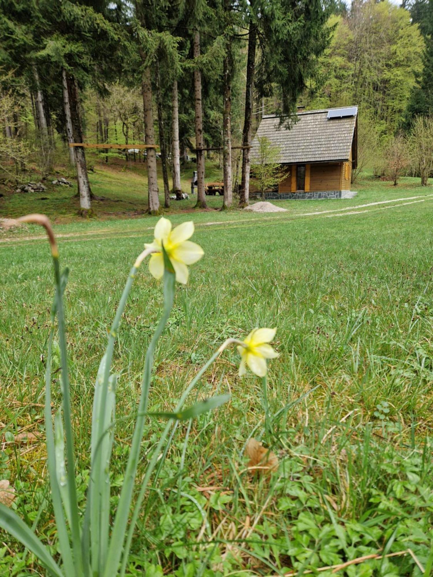 Koca V Gozdu, Forest House Near Блед Стая снимка