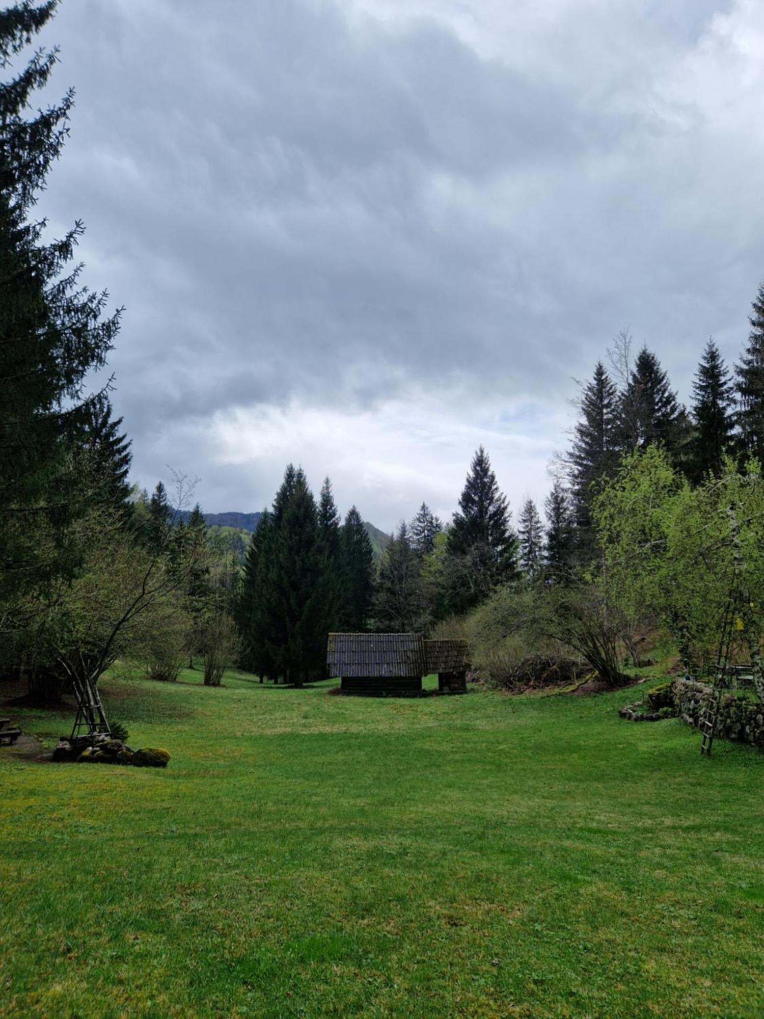Koca V Gozdu, Forest House Near Блед Стая снимка